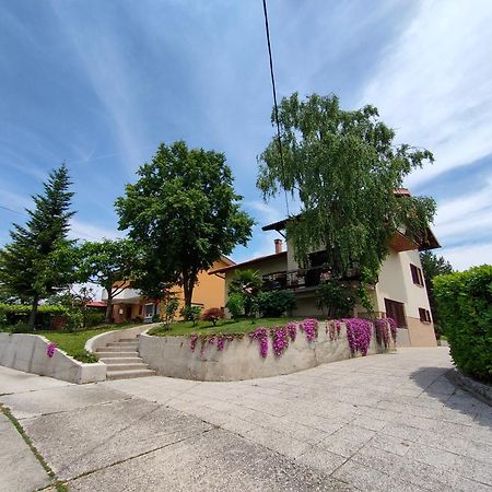 Apartma Breza Kojsko Экстерьер фото